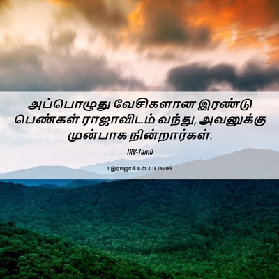 Picture 06 - 1 இராஜாக்கள் 3:16 TAMIRV - அப்பொழுது - Bible Verse Picture