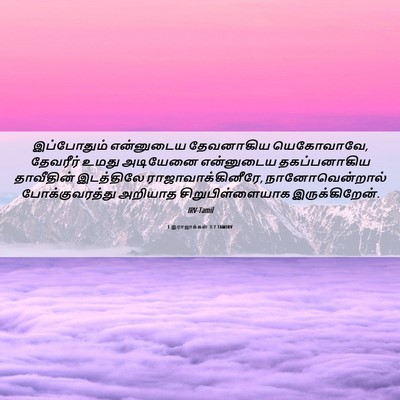 Picture 06 - 1 இராஜாக்கள் 3:7 TAMIRV - இப்போதும் - Bible Verse Picture