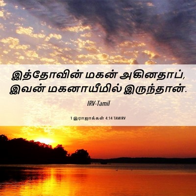 Picture 06 - 1 இராஜாக்கள் 4:14 TAMIRV - இத்தோவின் மகன் - Bible Verse Picture