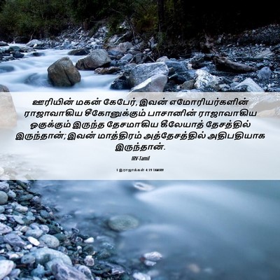 Picture 06 - 1 இராஜாக்கள் 4:19 TAMIRV - ஊரியின் மகன் - Bible Verse Picture