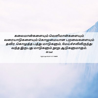 Picture 06 - 1 இராஜாக்கள் 4:23 TAMIRV - கலைமான்களையும் - Bible Verse Picture
