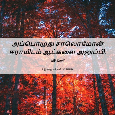 Picture 06 - 1 இராஜாக்கள் 5:2 TAMIRV - அப்பொழுது - Bible Verse Picture