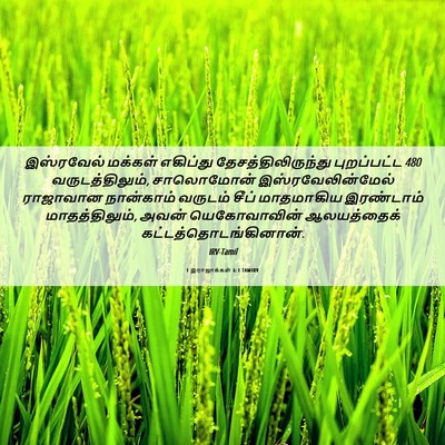 Picture 06 - 1 இராஜாக்கள் 6:1 TAMIRV - இஸ்ரவேல் மக்கள் - Bible Verse Picture