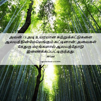 Picture 06 - 1 இராஜாக்கள் 6:10 TAMIRV - அவன் 7.6 அடி உயரமான - Bible Verse Picture