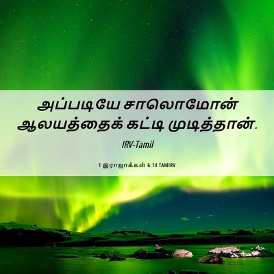 Picture 06 - 1 இராஜாக்கள் 6:14 TAMIRV - அப்படியே சாலொமோன் - Bible Verse Picture