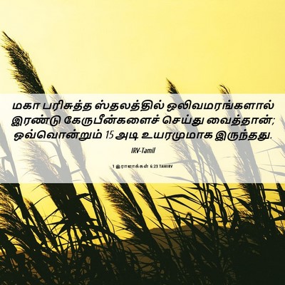 Picture 06 - 1 இராஜாக்கள் 6:23 TAMIRV - மகா பரிசுத்த - Bible Verse Picture