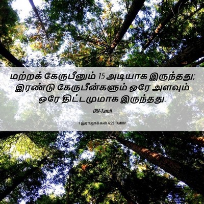 Picture 06 - 1 இராஜாக்கள் 6:25 TAMIRV - மற்றக் கேருபீனும் - Bible Verse Picture