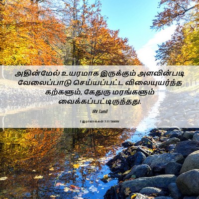 Picture 06 - 1 இராஜாக்கள் 7:11 TAMIRV - அதின்மேல் உயரமாக - Bible Verse Picture