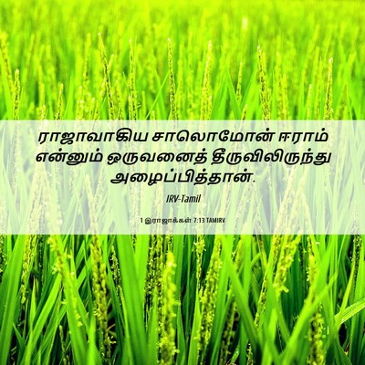 Picture 06 - 1 இராஜாக்கள் 7:13 TAMIRV - ராஜாவாகிய - Bible Verse Picture