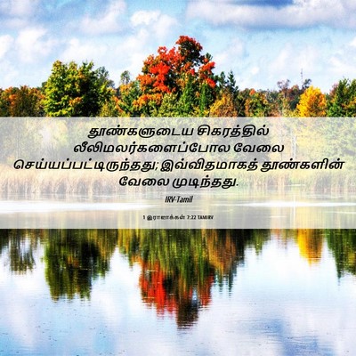 Picture 06 - 1 இராஜாக்கள் 7:22 TAMIRV - தூண்களுடைய - Bible Verse Picture