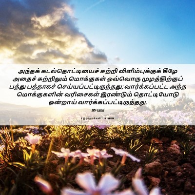 Picture 06 - 1 இராஜாக்கள் 7:24 TAMIRV - அந்தக் - Bible Verse Picture