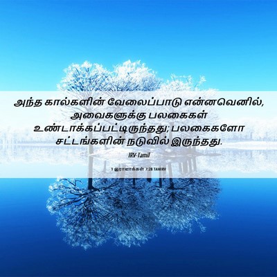 Picture 06 - 1 இராஜாக்கள் 7:28 TAMIRV - அந்த கால்களின் - Bible Verse Picture