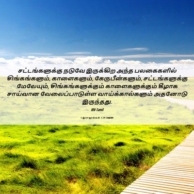 Picture 06 - 1 இராஜாக்கள் 7:29 TAMIRV - சட்டங்களுக்கு - Bible Verse Picture