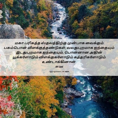 Picture 06 - 1 இராஜாக்கள் 7:49 TAMIRV - மகா பரிசுத்த - Bible Verse Picture