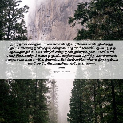 Picture 06 - 1 இராஜாக்கள் 8:16 TAMIRV - அவர் நான் - Bible Verse Picture