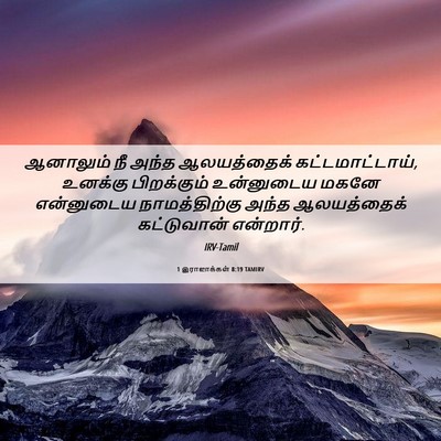 Picture 06 - 1 இராஜாக்கள் 8:19 TAMIRV - ஆனாலும் நீ அந்த - Bible Verse Picture