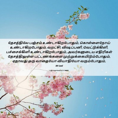 Picture 06 - 1 இராஜாக்கள் 8:37 TAMIRV - தேசத்திலே பஞ்சம் - Bible Verse Picture