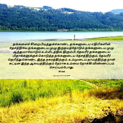 Picture 06 - 1 இராஜாக்கள் 8:48 TAMIRV - தங்களைச் - Bible Verse Picture