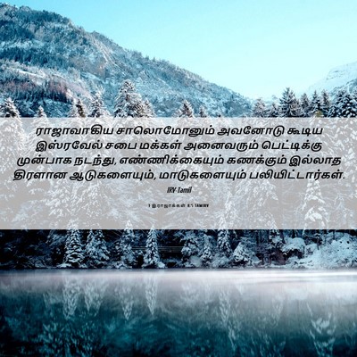 Picture 06 - 1 இராஜாக்கள் 8:5 TAMIRV - ராஜாவாகிய - Bible Verse Picture