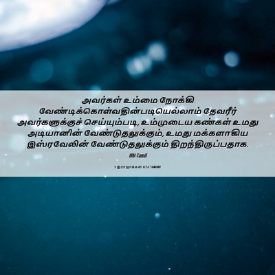 Picture 06 - 1 இராஜாக்கள் 8:52 TAMIRV - அவர்கள் உம்மை - Bible Verse Picture