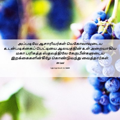 Picture 06 - 1 இராஜாக்கள் 8:6 TAMIRV - அப்படியே - Bible Verse Picture