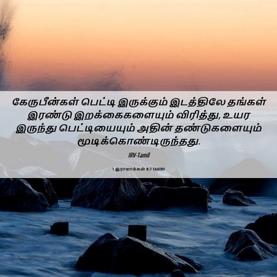 Picture 06 - 1 இராஜாக்கள் 8:7 TAMIRV - கேருபீன்கள் - Bible Verse Picture