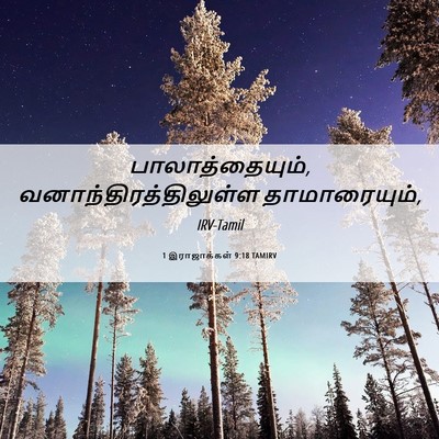 Picture 06 - 1 இராஜாக்கள் 9:18 TAMIRV - பாலாத்தையும், - Bible Verse Picture