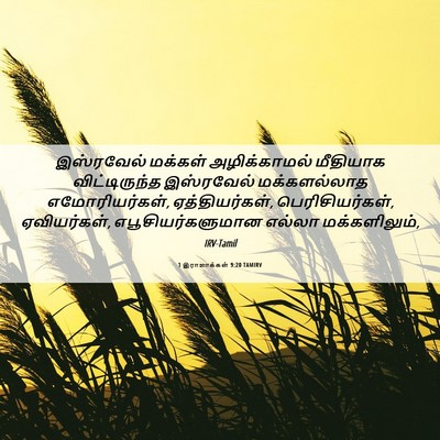 Picture 06 - 1 இராஜாக்கள் 9:20 TAMIRV - இஸ்ரவேல் மக்கள் - Bible Verse Picture