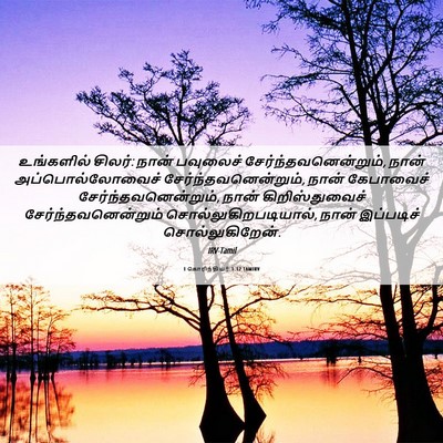 Picture 06 - 1 கொரிந்தியர் 1:12 TAMIRV - உங்களில் சிலர்: - Bible Verse Picture