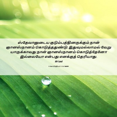 Picture 06 - 1 கொரிந்தியர் 1:16 TAMIRV - ஸ்தேவானுடைய - Bible Verse Picture