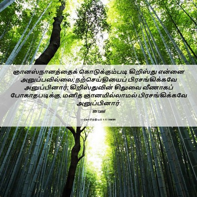 Picture 06 - 1 கொரிந்தியர் 1:17 TAMIRV - ஞானஸ்நானத்தைக் - Bible Verse Picture