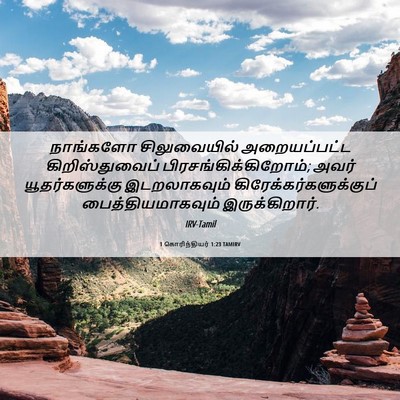 Picture 06 - 1 கொரிந்தியர் 1:23 TAMIRV - நாங்களோ - Bible Verse Picture