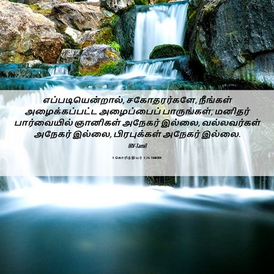 Picture 06 - 1 கொரிந்தியர் 1:26 TAMIRV - எப்படியென்றால், - Bible Verse Picture