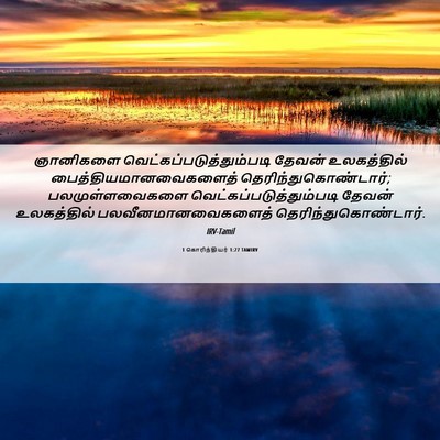 Picture 06 - 1 கொரிந்தியர் 1:27 TAMIRV - ஞானிகளை - Bible Verse Picture