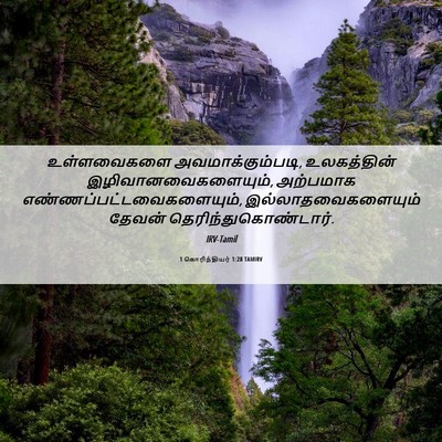 Picture 06 - 1 கொரிந்தியர் 1:28 TAMIRV - உள்ளவைகளை - Bible Verse Picture