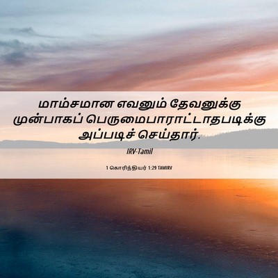 Picture 06 - 1 கொரிந்தியர் 1:29 TAMIRV - மாம்சமான எவனும் - Bible Verse Picture