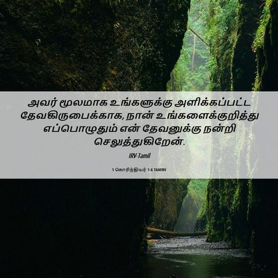 Picture 06 - 1 கொரிந்தியர் 1:6 TAMIRV - அவர் மூலமாக - Bible Verse Picture