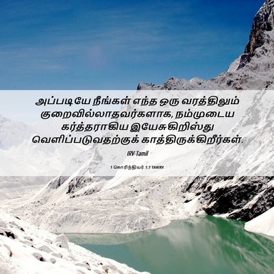 Picture 06 - 1 கொரிந்தியர் 1:7 TAMIRV - அப்படியே நீங்கள் - Bible Verse Picture