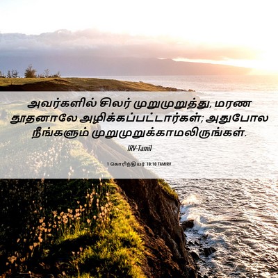 Picture 06 - 1 கொரிந்தியர் 10:10 TAMIRV - அவர்களில் சிலர் - Bible Verse Picture