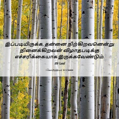 Picture 06 - 1 கொரிந்தியர் 10:12 TAMIRV - இப்படியிருக்க, - Bible Verse Picture