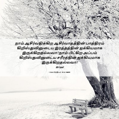 Picture 06 - 1 கொரிந்தியர் 10:16 TAMIRV - நாம் - Bible Verse Picture