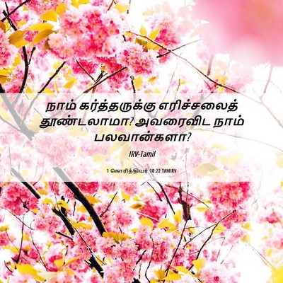 Picture 06 - 1 கொரிந்தியர் 10:22 TAMIRV - நாம் கர்த்தருக்கு - Bible Verse Picture