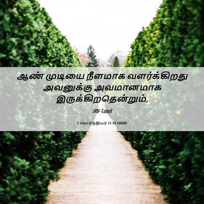 Picture 06 - 1 கொரிந்தியர் 11:14 TAMIRV - ஆண் முடியை நீளமாக - Bible Verse Picture