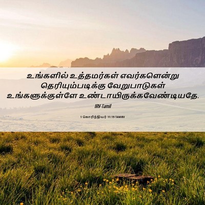 Picture 06 - 1 கொரிந்தியர் 11:19 TAMIRV - உங்களில் - Bible Verse Picture