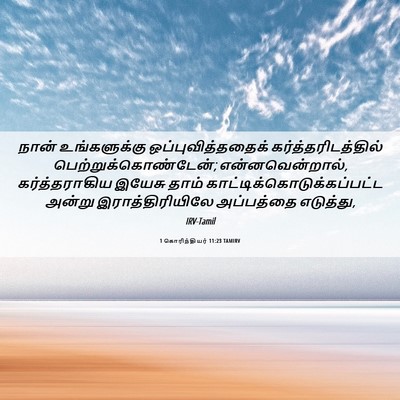 Picture 06 - 1 கொரிந்தியர் 11:23 TAMIRV - நான் உங்களுக்கு - Bible Verse Picture