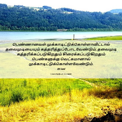 Picture 06 - 1 கொரிந்தியர் 11:6 TAMIRV - பெண்ணானவள் - Bible Verse Picture