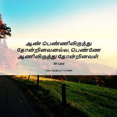 Picture 06 - 1 கொரிந்தியர் 11:8 TAMIRV - ஆண் - Bible Verse Picture
