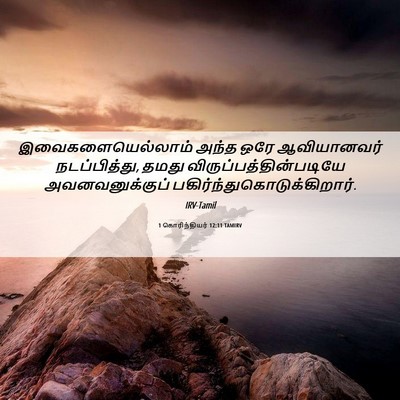 Picture 06 - 1 கொரிந்தியர் 12:11 TAMIRV - இவைகளையெல்லாம் - Bible Verse Picture