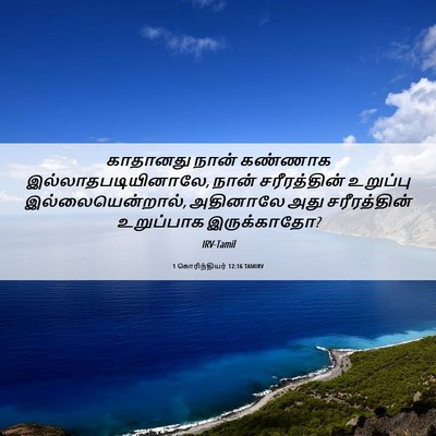 Picture 06 - 1 கொரிந்தியர் 12:16 TAMIRV - காதானது நான் - Bible Verse Picture
