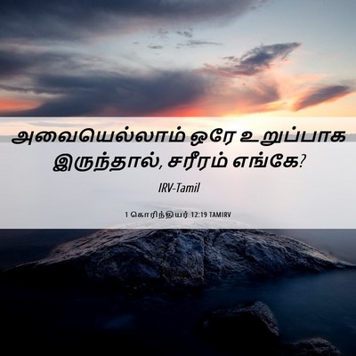 Picture 06 - 1 கொரிந்தியர் 12:19 TAMIRV - அவையெல்லாம் ஒரே - Bible Verse Picture